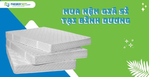 Mua nệm giá sỉ tại Bình Dương | Thế Giới Nệm