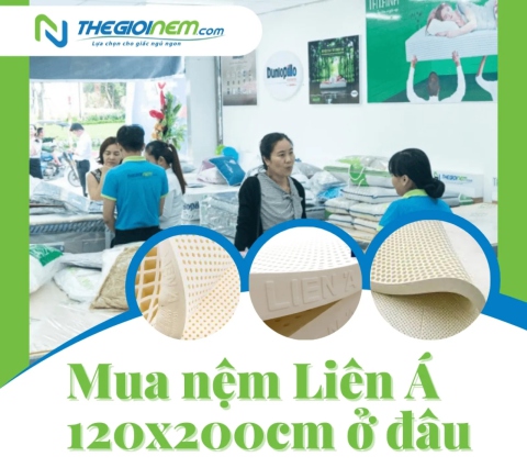 Mua nệm Liên Á 120x200cm ở đâu