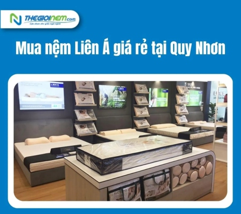 Mua nệm Liên Á giá rẻ tại Quy Nhơn | Thegioinem.com