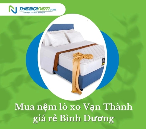 Mua nệm lò xo Vạn Thành giá rẻ Bình Dương | Thegioinem.com