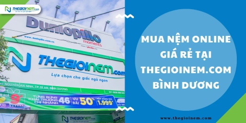 Mua nệm online giá rẻ tại Thegioinem.com Bình Dương