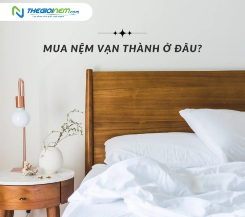 Mua Nệm Vạn Thành Ở Đâu Tốt? - Thế Giới Nệm