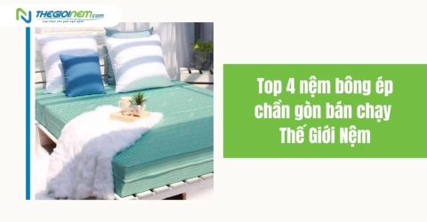 Top 4 nệm bông ép chần gòn bán chạy - Thế Giới Nệm