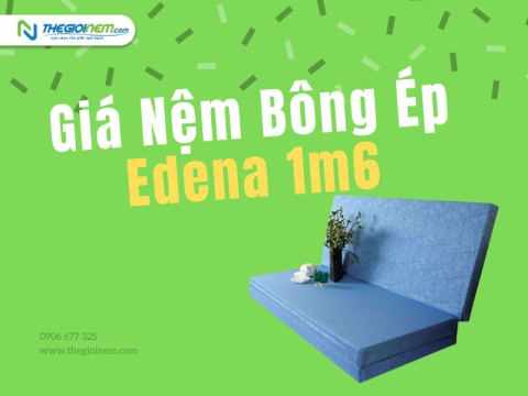 Nệm Bông Ép Edena 1m6 Giá Bao Nhiêu? | Thegioinem.com