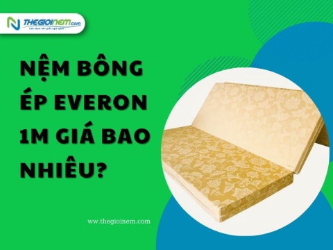 Nệm Bông Ép Everon 1m Giá Bao Nhiêu?