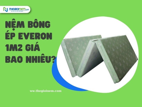 Nệm Bông Ép Everon 1m2 Giá Bao Nhiêu? | Thegioinem.com