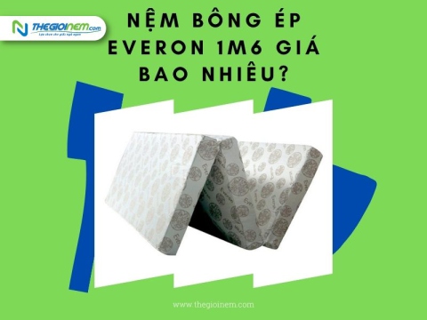 Nệm Bông Ép Everon 1m6 Giá Bao Nhiêu?