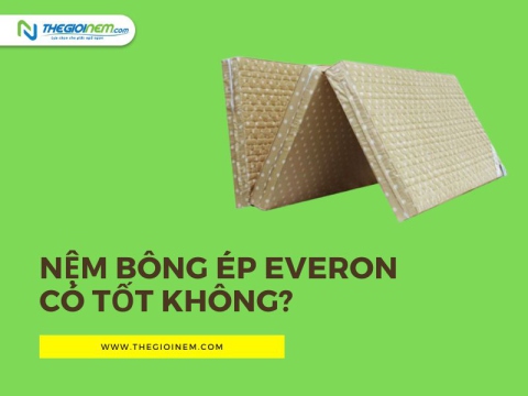 Nệm bông ép Everon có tốt không? | Thegioinem.com