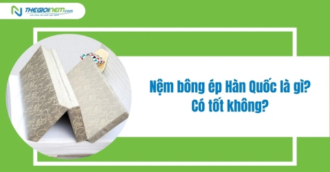 Nệm bông ép Hàn Quốc là gì? Có tốt không?