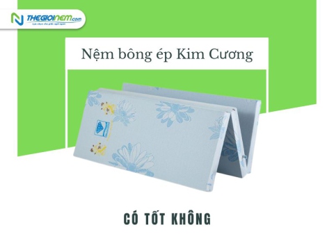 Nệm bông ép Kim Cương có tốt không | Thegioinem.com