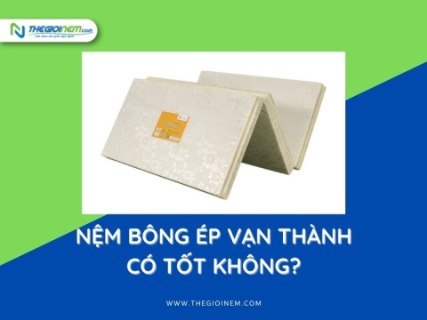 Nệm Bông Ép Vạn Thành Có Tốt Không? | Thegioinem.com