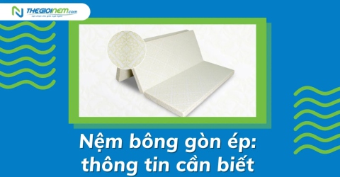 Nệm bông gòn ép: thông tin cần biết