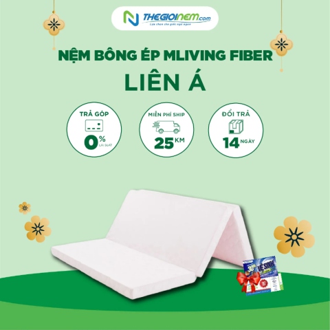 Nệm Bông Ép Liên Á Mliving Fiber Giảm Giá 10% | Thegioinem.com