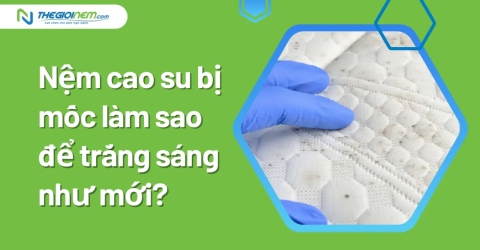 Nệm cao su bị mốc làm sao để trắng sáng như mới?