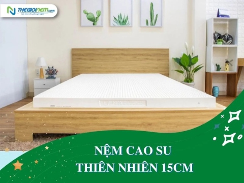 Nệm cao su 15cm thiên nhiên giá bao nhiêu? | Thegioinem.com