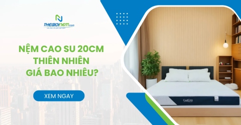 Nệm cao su 20cm thiên nhiên giá bao nhiêu? - Thế Giới Nệm