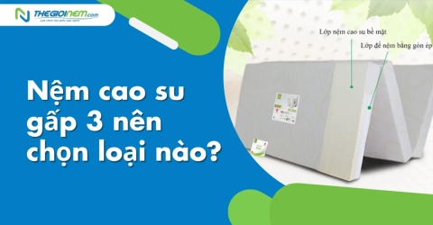 Nệm cao su gấp 3 nên chọn loại nào?