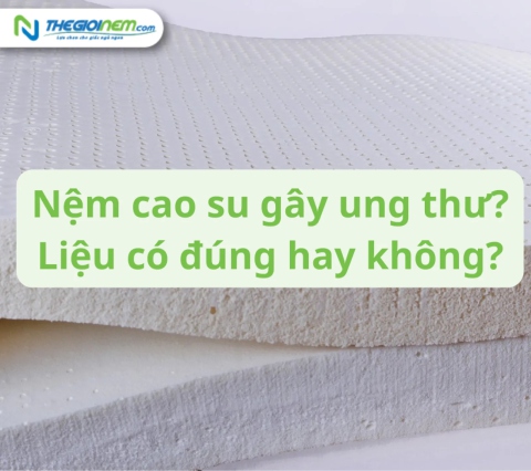 Nệm cao su gây ung thư? Liệu có đúng hay không?