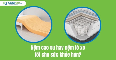 Nệm cao su hay nệm lò xo tốt cho sức khỏe hơn? | Thegioinem.com