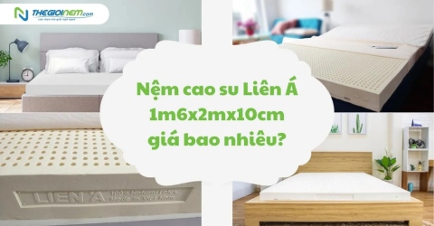 Nệm cao su Liên Á 1m6 x 2m x 10cm giá bao nhiêu? | Thegioinem.com