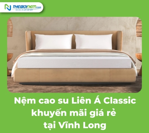 Nệm Cao Su Liên Á Classic Khuyến Mãi Giá Rẻ Tại Vĩnh Long | Thegioinem.com