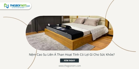 Nệm Cao Su Liên Á Than Hoạt Tính Có Lợi Gì Cho Sức Khỏe?