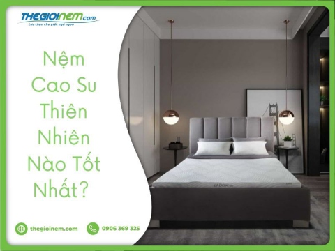 Khám phá các loại nệm cao su thiên nhiên tốt nhất hiện nay