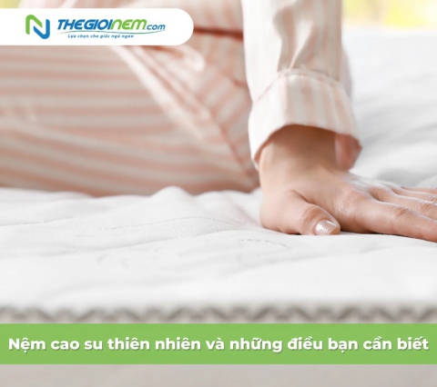 Nệm cao su thiên nhiên và những điều bạn cần biết