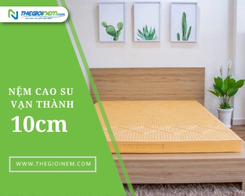 Nệm cao su vạn thành 10cm giá bao nhiêu?​ | Thegioinem.com