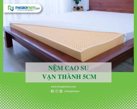 Nệm cao su vạn thành 5cm giá bao nhiêu? | Thegioinem.com