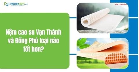 Nệm cao su Vạn Thành và đồng phú loại nào tốt hơn? | Thegioinem.com