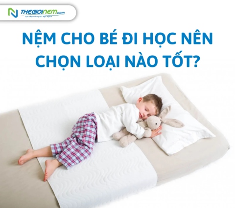 Nệm Cho Bé Đi Học Nên Chọn Loại Nào Tốt?