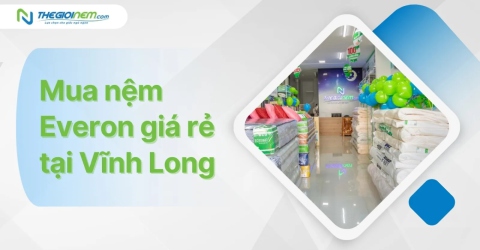 Mua nệm Everon giá rẻ tại Vĩnh Long - Thế Giới Nệm