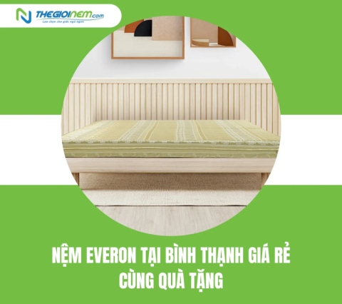 Nệm Everon Tại Bình Thạnh Giá Rẻ Cùng Quà Tặng | Thegioinem.com