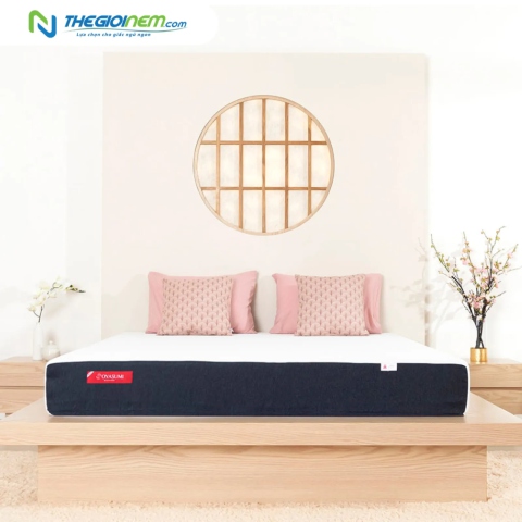 Nệm Foam Oyasumi Original gấp 3 khuyến mãi 10% tại Thegioinem.com