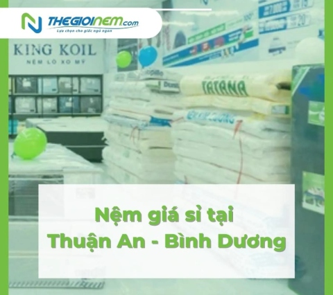 Nệm giá sỉ tại Thuận An - Bình Dương