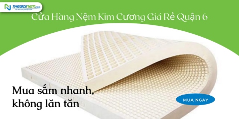 Cửa Hàng Nệm Kim Cương Giá Rẻ Quận 6 | Thegioinem.com