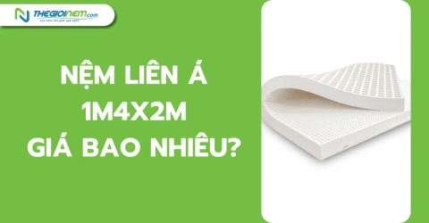 Nệm Liên Á 1m4x2m giá bao nhiêu?