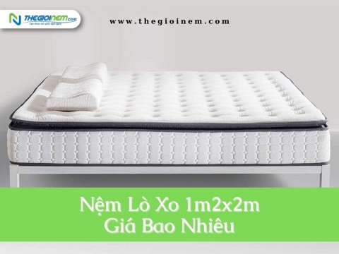 Nệm Lò Xo 1m2x2m Giá Bao Nhiêu? | Thegioinem.com