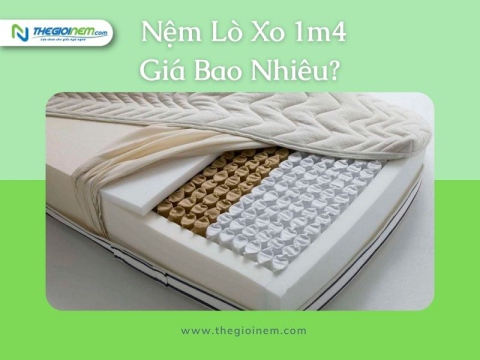 Nệm Lò Xo 1m4x2m Giá Bao Nhiêu? | Thegioinem.com