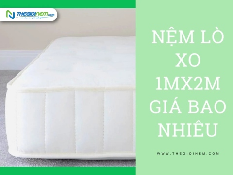 Nệm Lò Xo 1mx2m Giá Bao Nhiêu? | Thegioinem.com