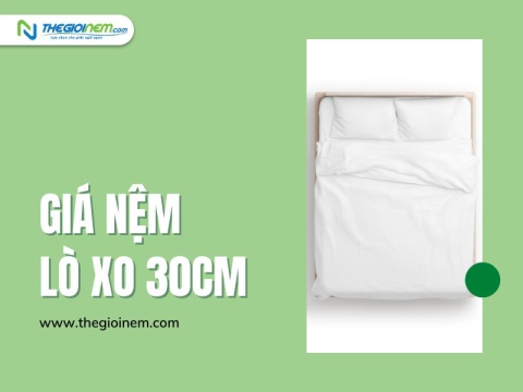 Nệm Lò Xo 30cm Giá Bao Nhiêu? | Thegioinem.com