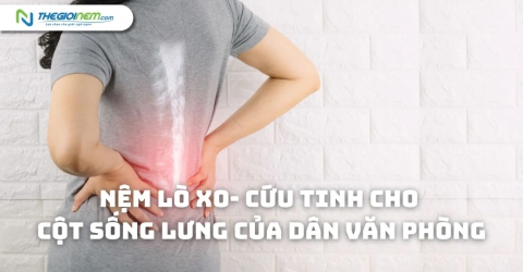 Nệm Lò Xo- Cứu Tinh Cho Cột Sống Lưng Của Dân Văn Phòng