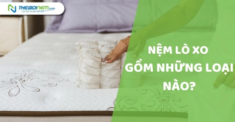 Nệm lò xo gồm những loại nào? | Thegioinem.com