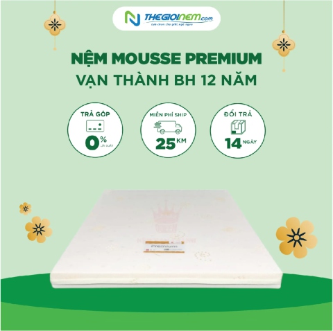 Nệm Mousse Premium Vạn Thành BH 12 Năm - Giảm Giá 15% Cùng Quà Tặng