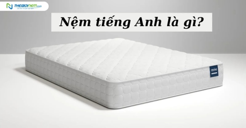 Nệm tiếng Anh là gì? Các thuật ngữ tiếng anh của ngành nệm