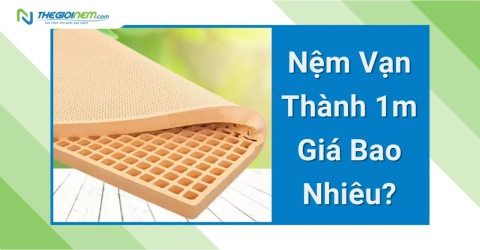 Nệm Vạn Thành 1m giá bao nhiêu?