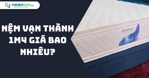 Nệm Vạn Thành 1m4 Giá Bao Nhiêu?  | Thegioinem.com