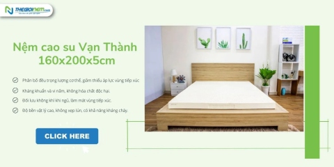 Nệm cao su Vạn Thành 1m6x2mx5cm giảm 15% kèm quà tặng | Thegioinem.com