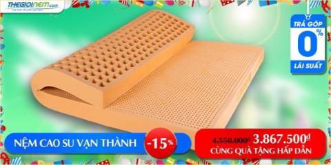 Nệm Vạn Thành 1m8x2mx10cm | Thegioinem.com